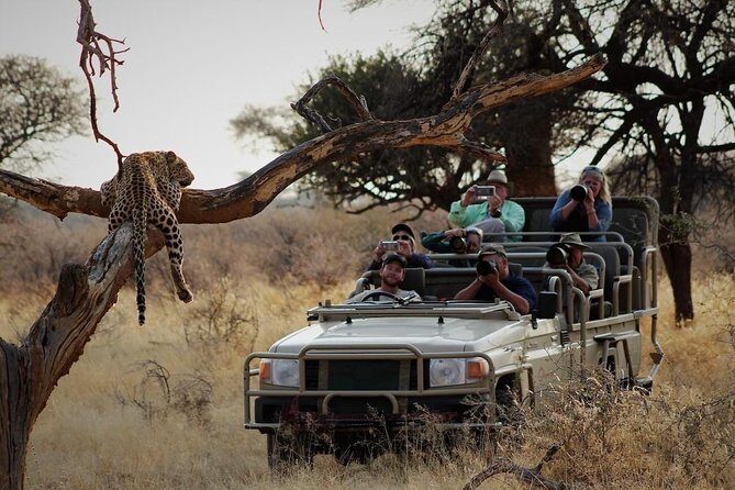 Kruger National Park Best Tour - A Detailed Breakdown of the Itinerary