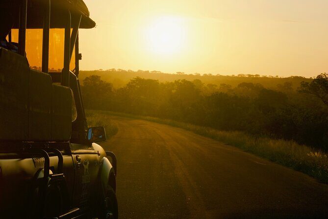 Kruger National Park Guided Day Tour including Hotel Pick-Up and Drop-Off - Breaks and Comfort