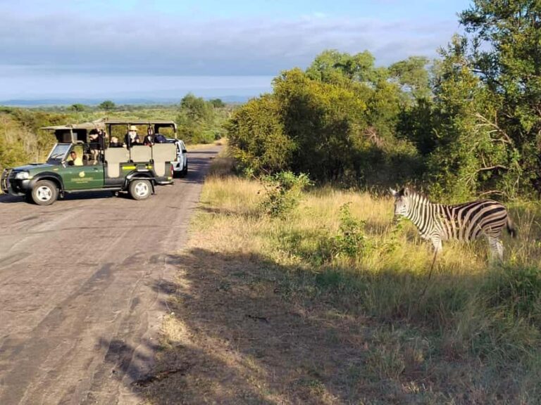 Kruger National Park half day - A Closer Look at the Kruger Half-Day Tour