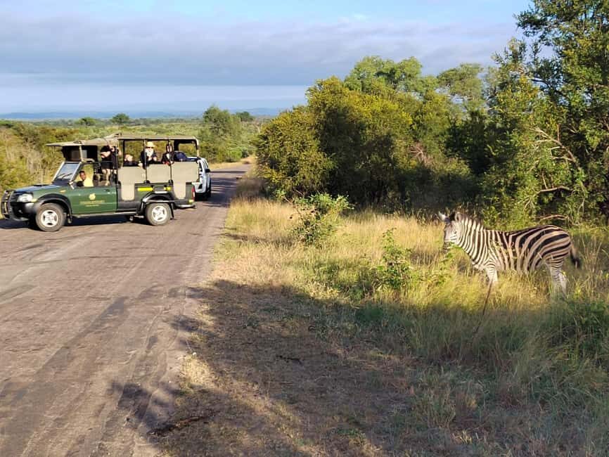 Kruger National Park half day - A Closer Look at the Kruger Half-Day Tour