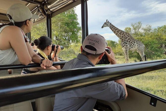 Kruger National Park Morning Safari 2 people minimum - Final Thoughts: Is It Worth It?