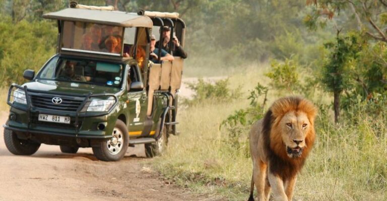 Kruger National Park: Morning Safari - An In-Depth Look at the Kruger Morning Safari