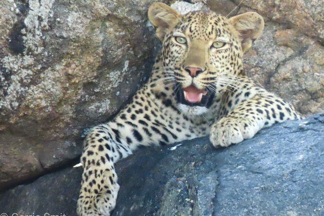 Kruger National Park - Private 3 day, 2 night safari trip. - Accommodation & Comfort