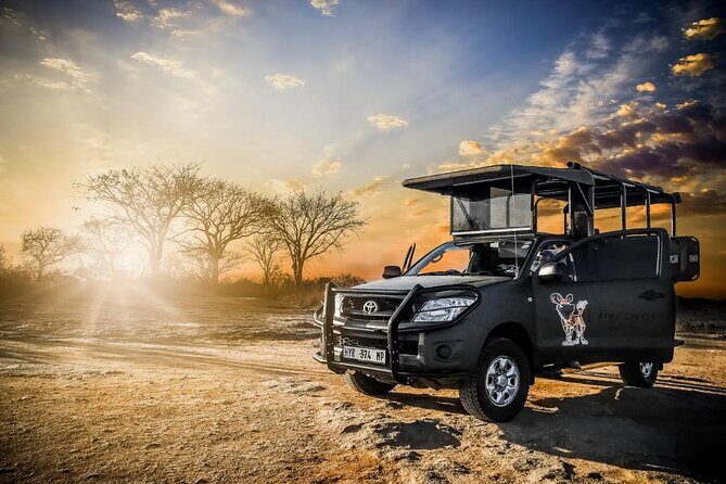 Kruger National Park Private Guided Tour - Authentic Feedback from Past Travelers