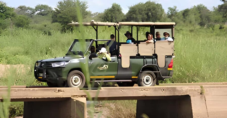 Kruger National Park Safari (Full Day) - Authenticity and Quality of Guides