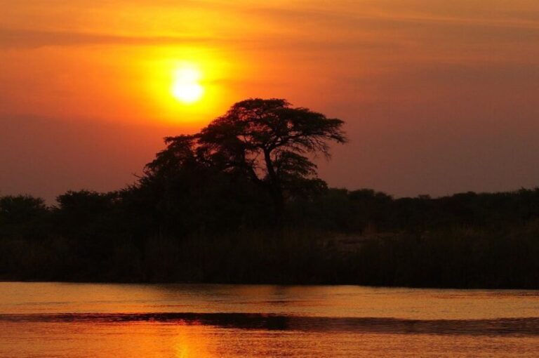 Kruger National Park: Safari & Panorama Route - What’s Included & What’s Not