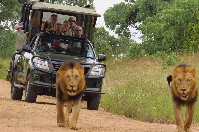 Kruger National Park sunrise Morning Private safari - What Travelers Say