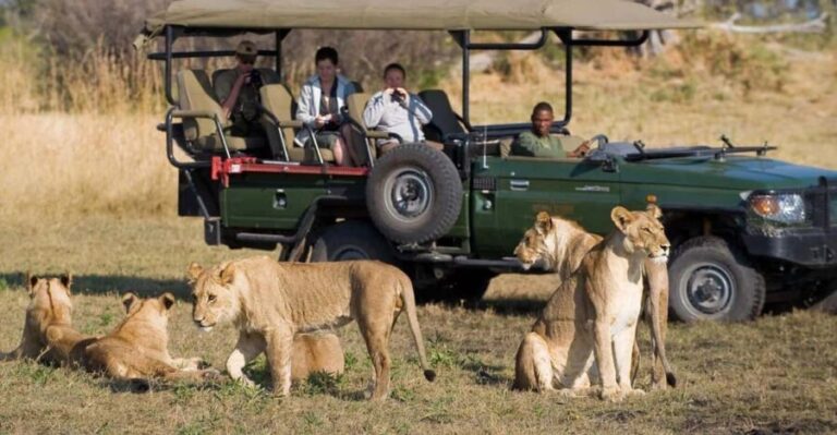 Kruger Park & Blyde River Canyon 4Day Safari fr Johannesburg - What Sets This Tour Apart?