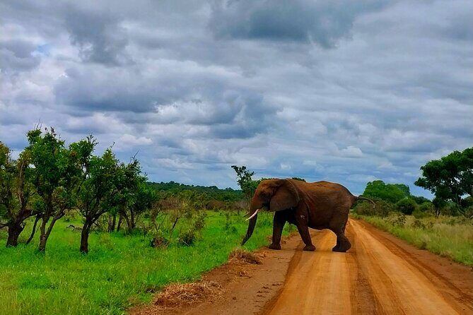 Kruger Park Full Day Guided Safari - Frequently Asked Questions