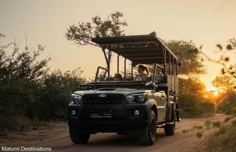 Kruger Park Full Day Safari - What You Can Expect: The Highlights and Reality