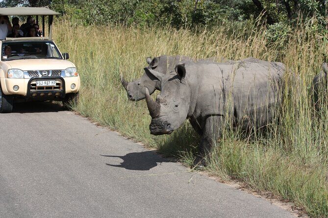 Kruger Park Safari Private Full-Day Tour from Malelane - The Safari Itself: a 10-Hour Adventure