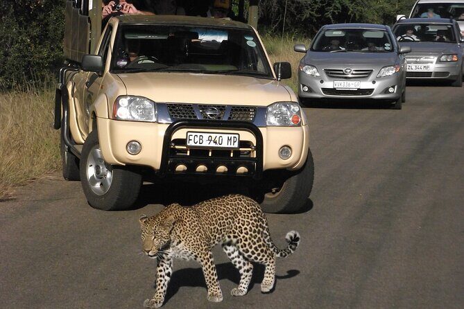 Kruger Park Safari Private Full-Day Tour from Marloth Park - FAQs