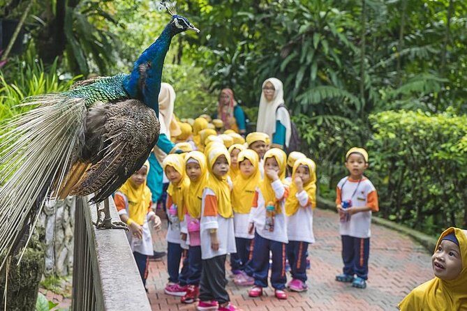 Kuala Lumpur Bird Park & Butterfly Farm Tour - Discovering Kuala Lumpur Butterfly Park