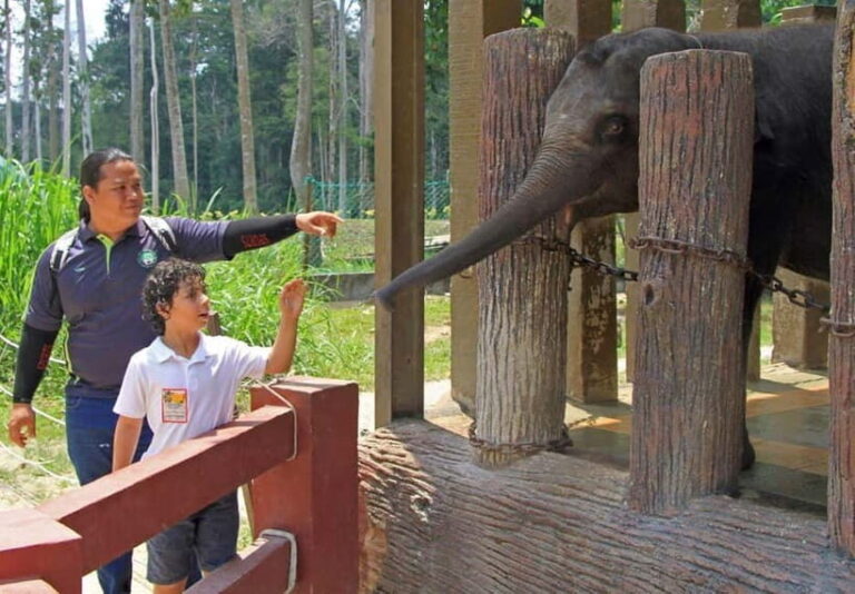 Kuala Lumpur Day Tour: Batu Caves & Elephant Sanctuary - Who Will Benefit Most from This Tour?
