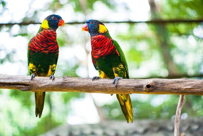 Kuala Lumpur Private Half-Day Family Tour of Nature, Birds and Butterflies - Exploring Kuala Lumpur’s Green Gems