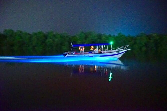 Kuala Selangor Fireflies and Blue Tears Tour with Dinner (SIC) - Practical Considerations