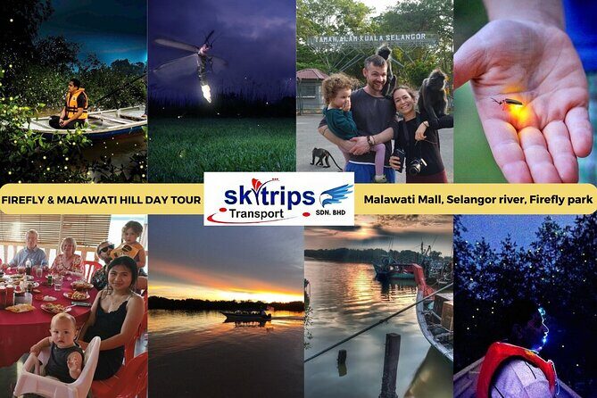 Kuala Selangor Fireflies - Batu Caves Temple- Malawati Hill DayTour With Dinner - Pick-up and Transport