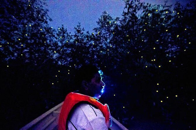 Kuala Selangor Firefly Boat Tour with Roundtrip Transfer from Kuala Lumpur - Highlights and Considerations