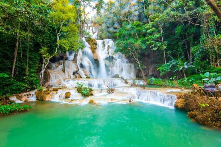 Kuang Si waterfall & Tree house - What to Expect on the Tour