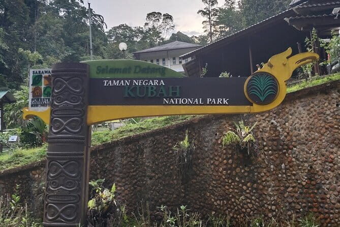 Kubah's Nocturnal Wonders Nighttime Frog Safari - Authentic Experiences and Guide-Led Insights