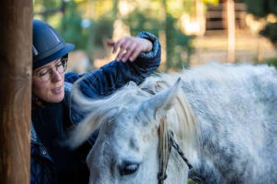 Kudu Trail Horse Riding Experience - An In-Depth Look at the Kudu Trail Horse Riding Experience