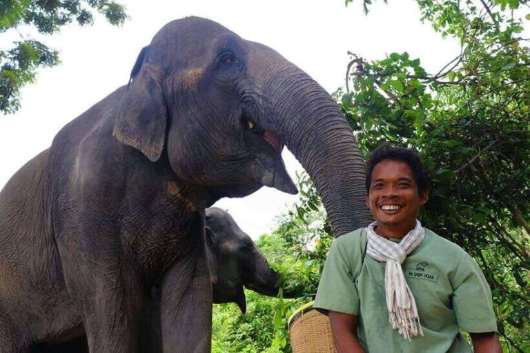 Kulen Elephant Forest Siem Reap in Small Group - Why This Tour Stands Out