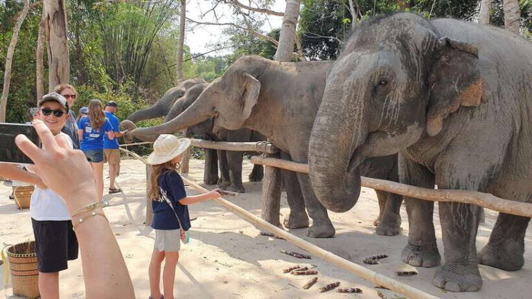 Kulen Elephant Forest & Tonlesap Lake - Why This Tour Offers Great Value