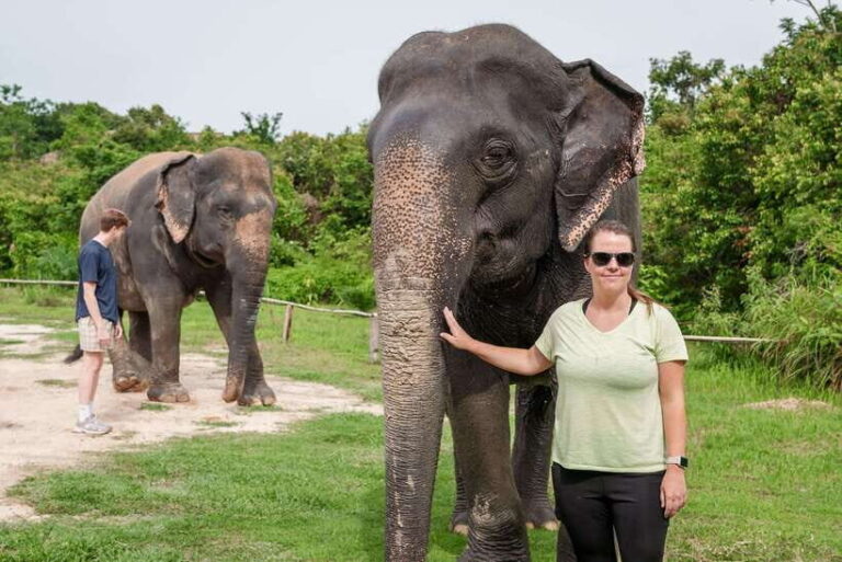 Kulen Elephant Forest Tour with Hotel Pick-up & Drop off - What Makes the Experience Special?
