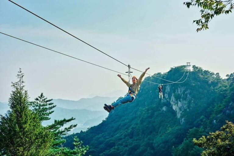 Kumamoto: Dolphin Watching and Zipline Experience Tour - The Experience for Travelers