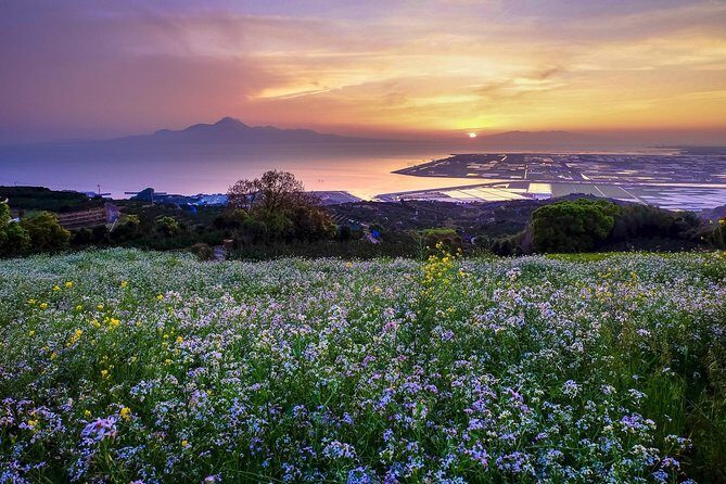 Kumamoto Private Customizable Full Day Tour - FAQ