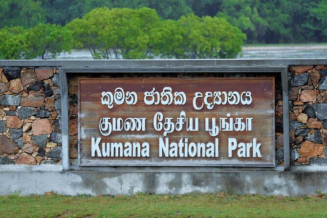 Kumana National Park Safari | from Arugam Bay - Who Should Consider This Tour?