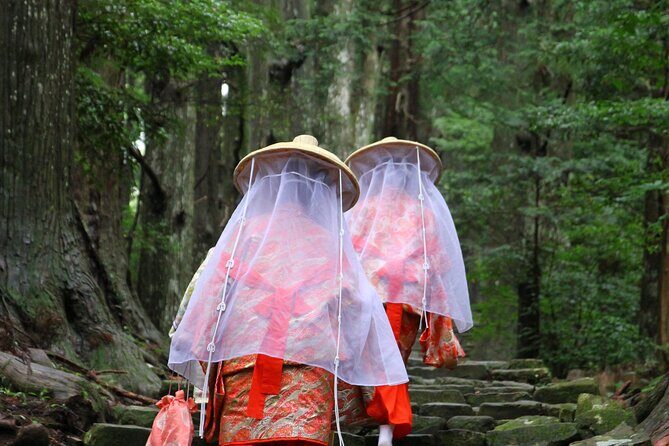 Kumano Kodo Pilgrimage Tour with Licensed Guide & Vehicle - What to Expect from the Tour Experience