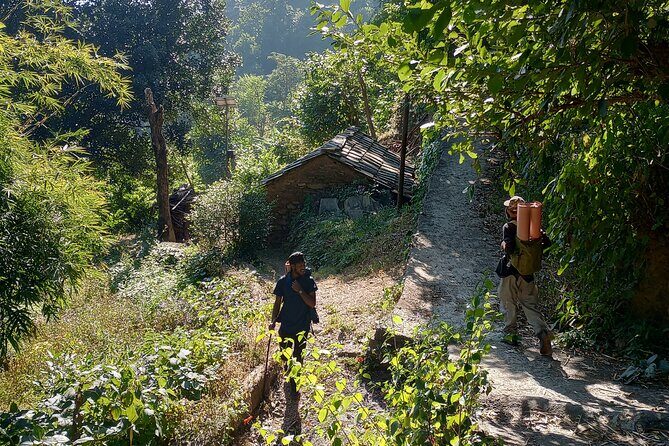 Kunjapuri Yoga Day Hike - Real Traveler Feedback