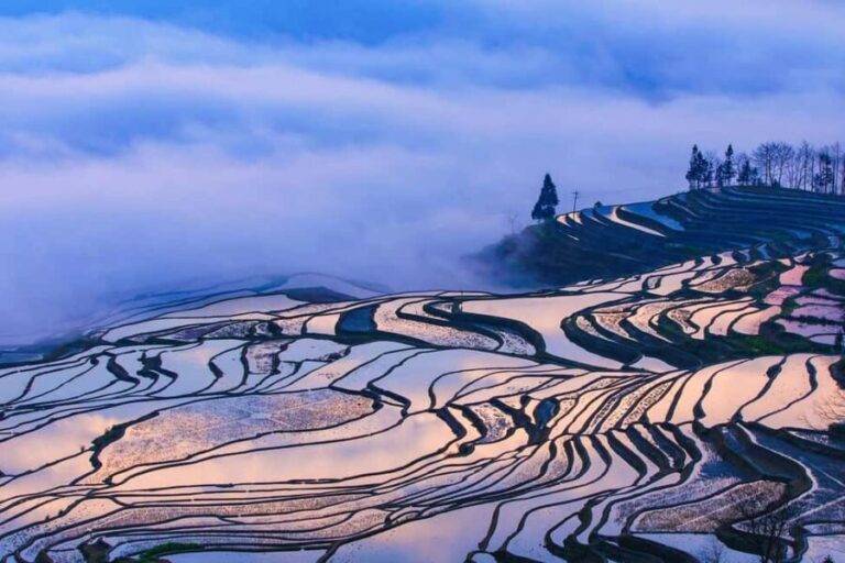 Kunming: 2-Day Honghe Hani Yuanyang Rice Terraces - An Honest Look at What to Expect