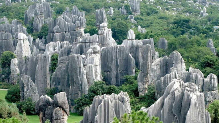 Kunming: Stone Forest & Chengzi Ancient Village Private Tour - Who Will Love This Tour?