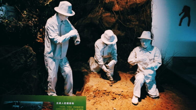 Kunming: Yunnan Provincial Museum Entry Reservation - Analyzing the Value