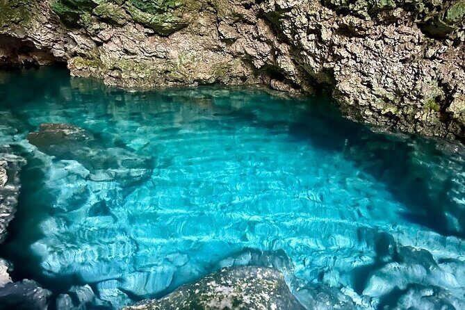 Kuza Cave, Monkey Tour, Secret Garden, Prison Island, Salaam Cave - Price and Value