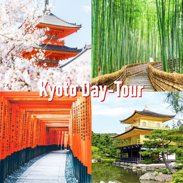 Kyoto: 10-hour Customized Private Tour - The Experience and Reviews