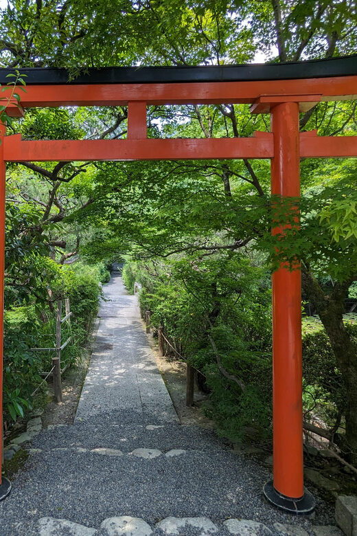 Kyoto: 100% Private Custom Walking Tour (4/8 Hrs) - Key Points