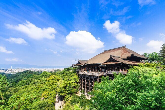 Kyoto 6hr Instagram Highlights Private Tour with Licensed Guide - Logistics and Practicalities