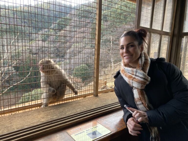 Kyoto: Afternoon Bamboo Forest and Monkey Park Bike Tour - What Makes This Tour Stand Out