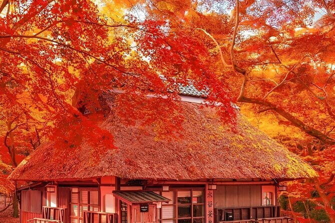 Kyoto and Nara Day Tour from Osaka - An In-Depth Look at the Tour Itinerary