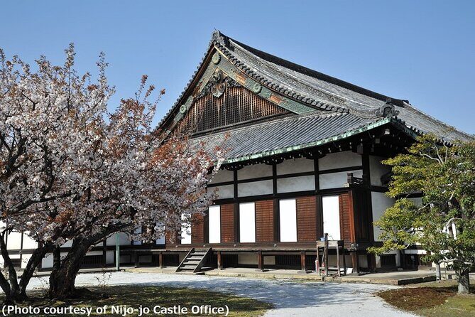 Kyoto and Nara Day Trip - Golden Pavilion and Todaiji from Osaka - Final Thoughts