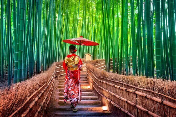 Kyoto and Nara Private Trip - Authentic Experiences and Hidden Gems