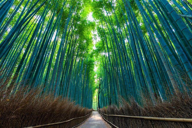 Kyoto Arashiyama Bamboo forest & Garden Half-Day Walking Tour - Frequently Asked Questions