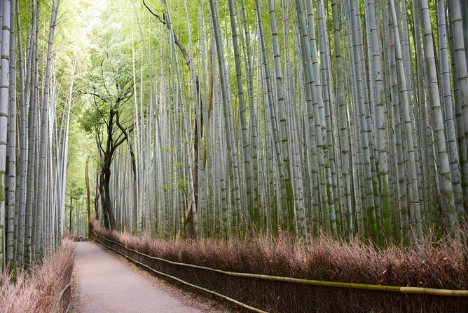 Kyoto Arashiyama Customized Private Tour with Licensed Guide - What Makes This Tour Stand Out?