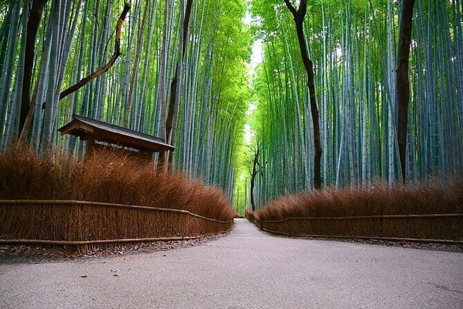Kyoto Arashiyama: Fall Foliage Walking TourAutumn's limited - The Sum Up