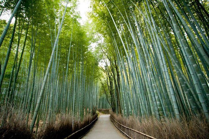 Kyoto Arashiyama Rickshaw Tour with Bamboo Forest - What Past Travelers Say