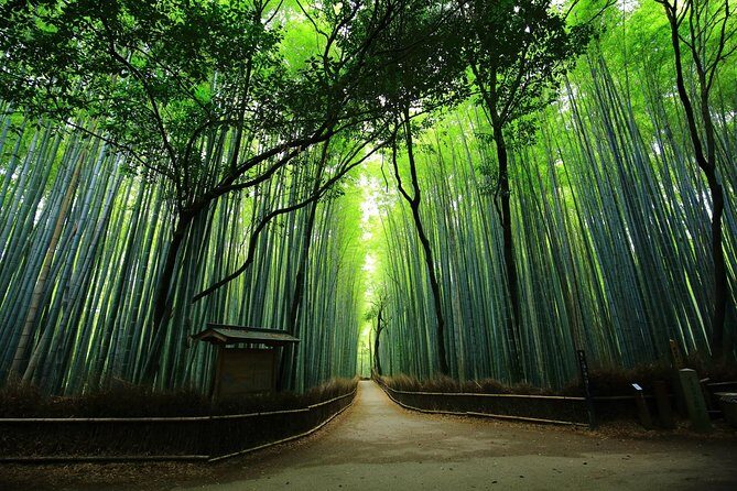 Kyoto Arashiyama & Sagano Bamboo Private Tour with Government-Licensed Guide - The Sum Up