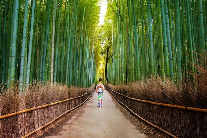 Kyoto Arashiyama Walking Tour - Bamboo, Monkeys, Temple & Secrets - The Itinerary in Detail